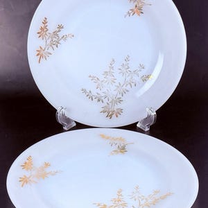 FRANCE オパールガラス皿　アンテーク オパールガラス皿 - Etsy 日本