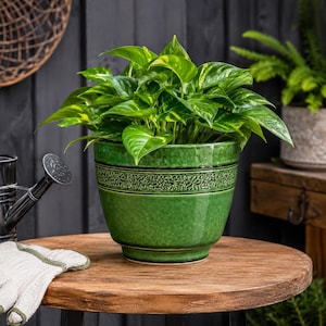 May include: A vibrant green ceramic plant pot with a textured horizontal band around the center, containing a lush pothos plant with variegated heart-shaped leaves. The pot has a glossy finish and a tapered base, sitting on a round wooden surface.