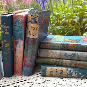 May include: A collection of vintage hardcover books with decorative floral spines and titles including In the Cradle of the North Wind, What Katy Did at School, Gipsy Mike, Heroes and Martyrs of Science, and Captain Cook's Voyages, arranged in a stack.