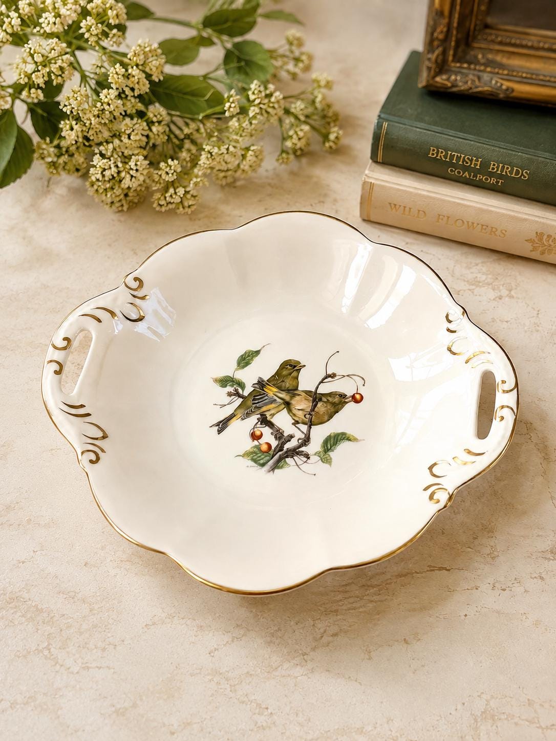 Coalport Bird Plate - Etsy