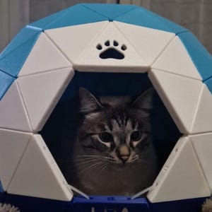 May include: A tabby cat sits inside a blue, white, and navy geometric pet house. The house features a paw print cutout. The cat has grey and brown fur and is looking at the camera. The pet house is on a soft, textured surface.