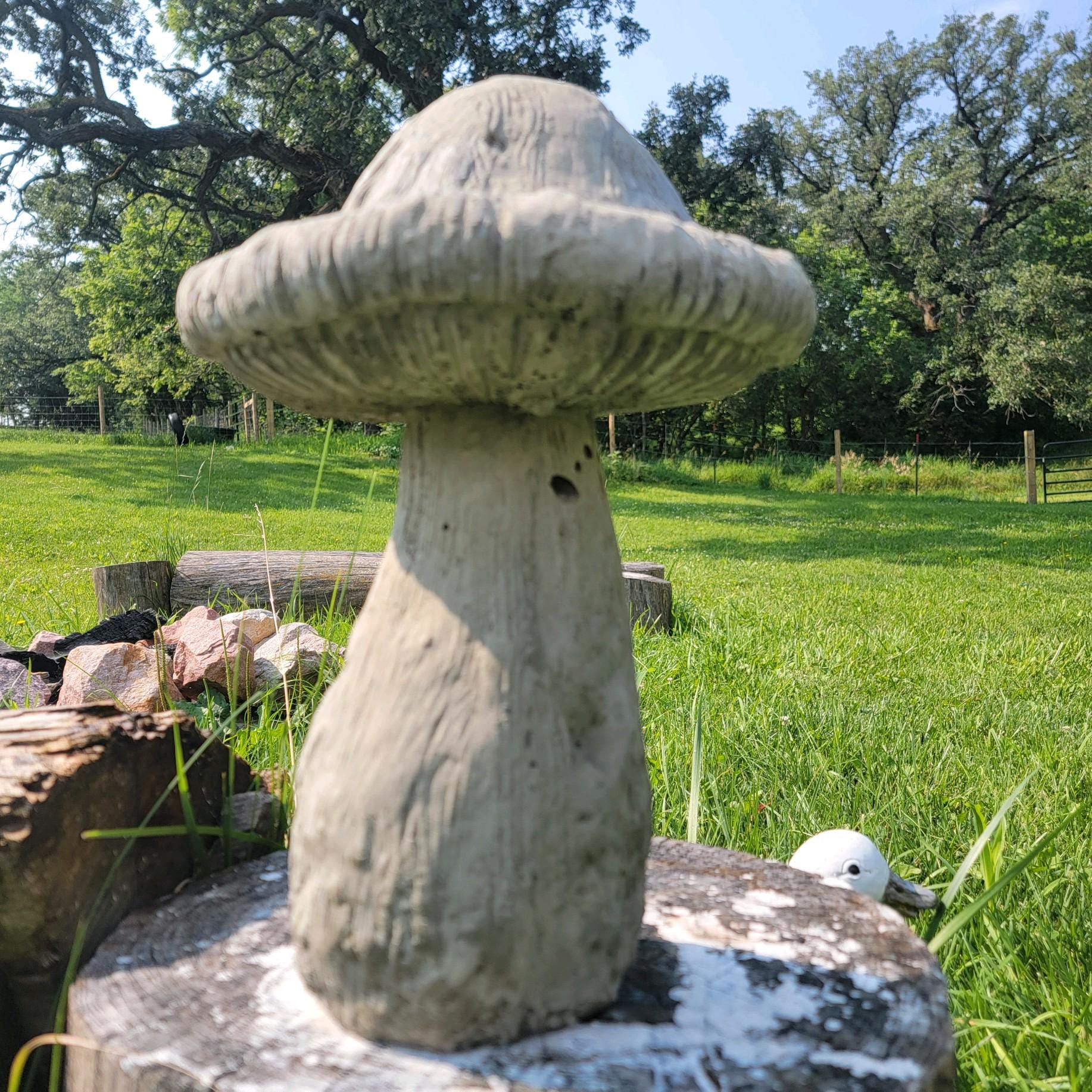 Toad Stool Bench Concrete Rustic Toad Stool
