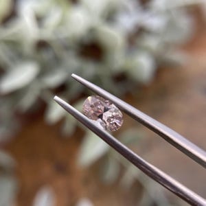 Australian Blush Champagne Zircon | 1.06ct Oval Cut Natural Zircon | Harts Range NT | Precision Cut Loose Gemstone