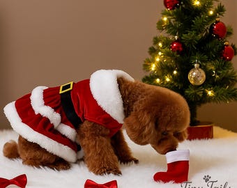 Santa Pet Dress: Soft Holiday Costume for Cats & Small Dogs