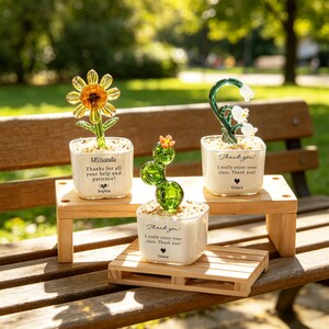 Può includere: Tre sculture di fiori in vetro in vasi quadrati bianchi su un espositore in legno. Le sculture includono un girasole giallo, un cactus verde e un mughetto bianco. Ogni vaso ha un messaggio di ringraziamento e un nome.