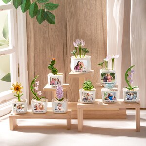 May include: A collection of eight white square ceramic planters, each featuring a custom photograph and text on the front. Each planter holds a unique glass flower or succulent sculpture in various colors, including yellow, green, pink, and purple.