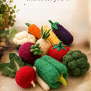 May include: A collection of needle-felted vegetable toys including a carrot, eggplant, corn, cauliflower, onion, tomato, radish, green bell pepper, and broccoli. The text "Handmade with love, crafted for you." is printed at the top of the image.