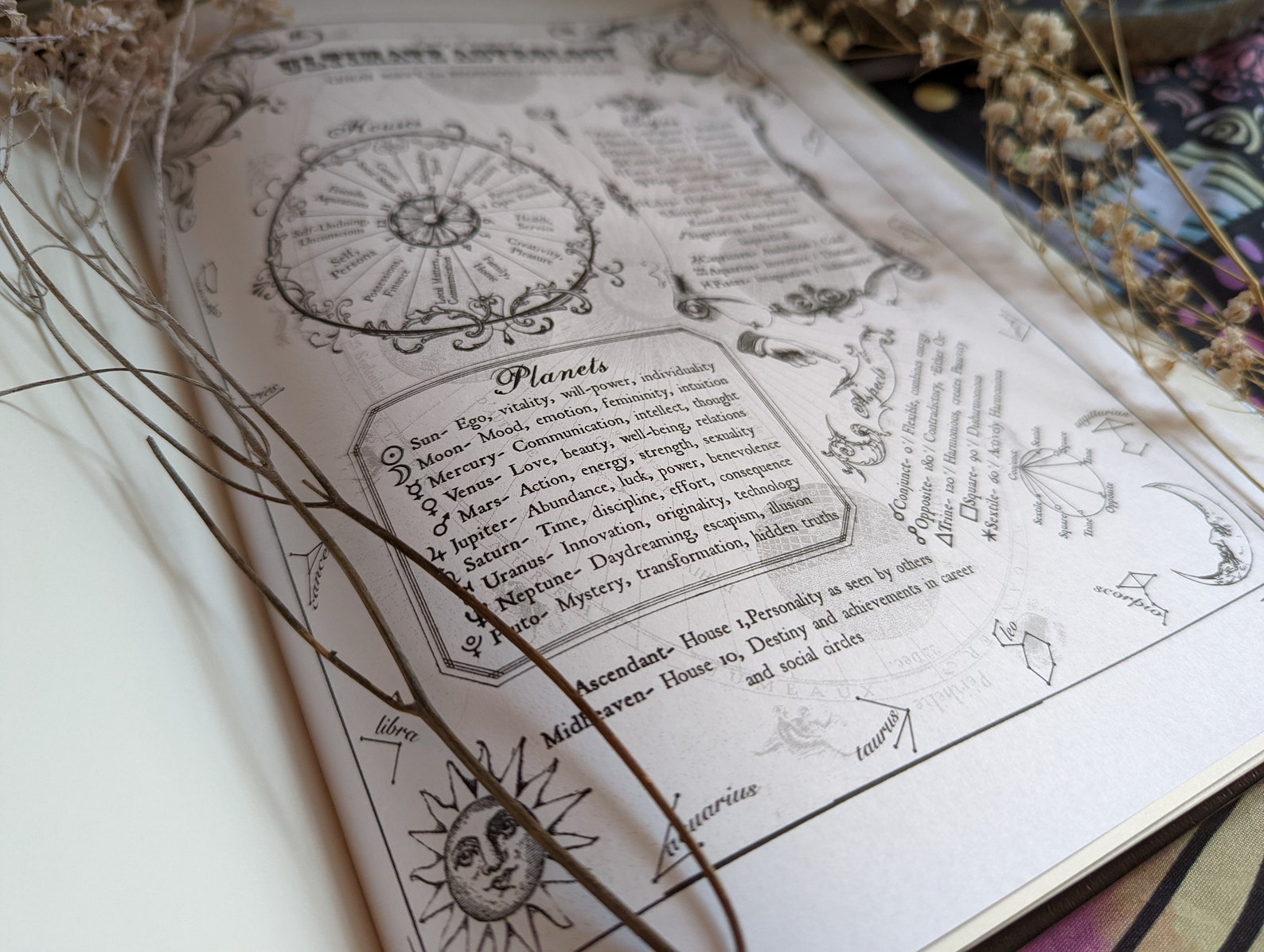 Feuille De Triche En Astrologie Livre Des Ombres Feuille Etsy France