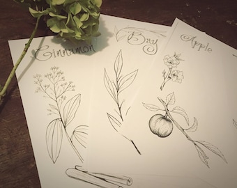 Paquete de hierbas - Plantilla de libro de sombras dibujado a mano imprimible DIY - 8.5 x 11 - Descarga digital instantánea PDF - 40 páginas