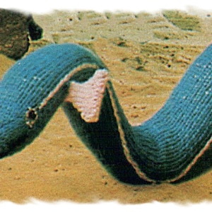 Instant Download PDF Easy Beginners Knitting Pattern to make a Crazy Long Eel or Snake Sea Creature Baby First Soft Toy Draught Excluder