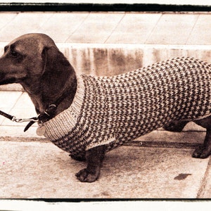 Instant Download PDF KNITTING PATTERN to make a Tweed Look Snug Winter Walking Coat to fit a Dachshund or Small Dog 8 Ply Yarn