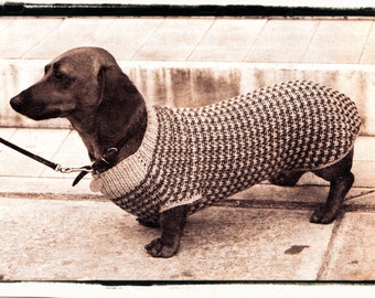 Instant Download PDF KNITTING PATTERN to make a Tweed Look Snug Winter Walking Coat to fit a Dachshund or Small Dog 8 Ply Yarn