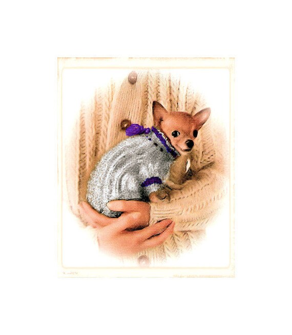Manteau chihuahua tricot hotsell