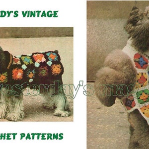 Könnte beinhalten: Zwei Hunde tragen bunte gehäkelte Pullover. Die Pullover bestehen aus Granny Squares in verschiedenen Farben, darunter Rot, Gelb, Blau, Grün und Orange. Die Pullover sind ein Vintage-Häkelmuster.