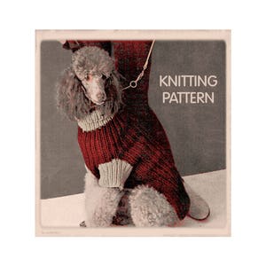 Instant Download PDF KNITTING PATTERN to make a Chunky Ribbed Winter Dog Coat Large Sizes 18 to 22 inch chest Standard Poodle Labrador
