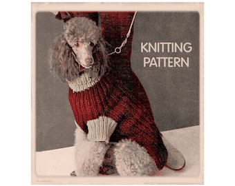 poodle jumper