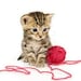 Owner of <a href='https://www.etsy.com/shop/YesterdaysMagic?ref=l2-about-shopname&from_page=listing' class='wt-text-link'>YesterdaysMagic</a>