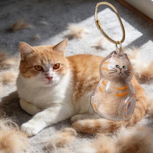 Puede incluir: Un gato naranja y blanco yace sobre una superficie gris cubierta de pelo. Un colgante transparente con forma de gato lleno de pelo cuelga de una cadena dorada. El colgante tiene rayas naranjas y una cara pintada.