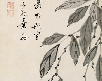 Bean Vine – Japanese Zen Ink Painting | Minimal Botanical Art | Sumi-e Style Wall Art
