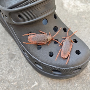 May include: Black rubber clog shoe with two brown and orange plastic cockroach decorations. The shoe has multiple ventilation holes and a pivoting heel strap. The cockroaches are detailed with visible legs and antennae.