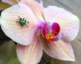 OOAK Mini Miniature Dollhouse Realistic Fuzzy Bumblebee Bumble Bee #5 N Woolmer