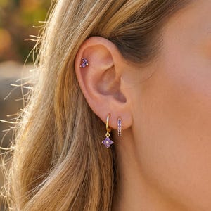 Può includere: Primo piano di un orecchio adornato con diversi gioielli. L'orecchio presenta un piccolo orecchino viola, un orecchino a cerchio dorato con un ciondolo viola e un piccolo cerchio dorato con pietre viola. I gioielli risaltano sulla pelle e sui capelli della persona.