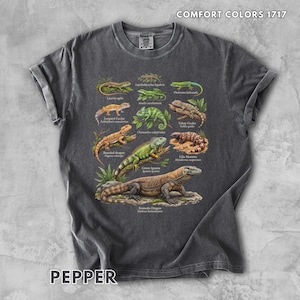 May include: A charcoal grey short-sleeve t-shirt featuring a detailed graphic print of various lizards, including a Komodo dragon, green iguana, and gecko, with scientific names labelled below each creature. The text COMFORT COLORS 1717 is visible.