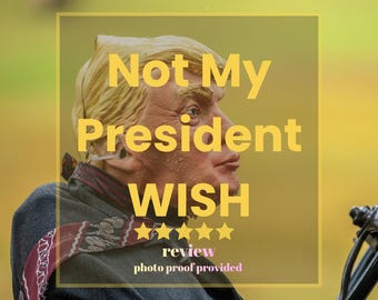 Não é meu desejo para presidente, porquinho quieto, a América não tem rei.