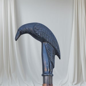 Peut inclure: Une canne en bois foncé avec une tête de corbeau sculptée. Le corbeau présente des plumes texturées et un bec incurvé. La poignée est sombre et le fût est en bois brun clair. Un accessoire décoratif.