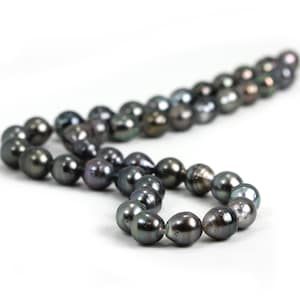 Tahitian Saltwater Pearls 2 Pearls Natural Color Grey Green Semi Precious Pearls