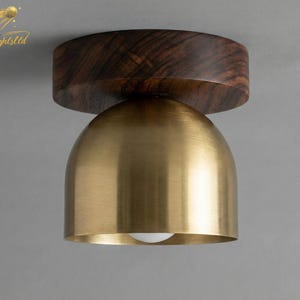May include: A modern ceiling light fixture with a walnut wood top and a brass dome-shaped shade. The light fixture has a simple, elegant design and a warm, inviting glow. The text "Sputnik Lights Ltd" is in the upper left corner.