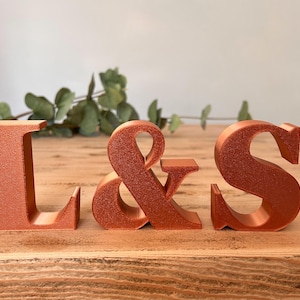 May include: Three-dimensional freestanding letters L and S with an ampersand symbol in the centre. The characters are finished in a metallic copper colour with a textured surface, standing upright in a row to display the sequence L & S.
