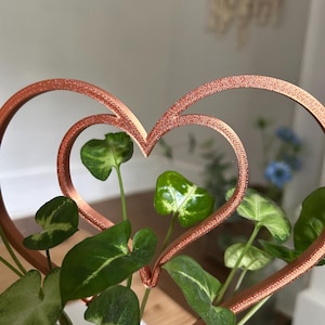 May include: A copper-coloured metal heart-shaped plant holder with a textured surface. The holder frames green plants with heart-shaped leaves. The leaves have white and light green variegation. The background is blurred.