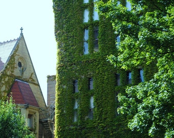 The Ivy House, sky reflected in the windows, original signed Fine Art photo giclee print