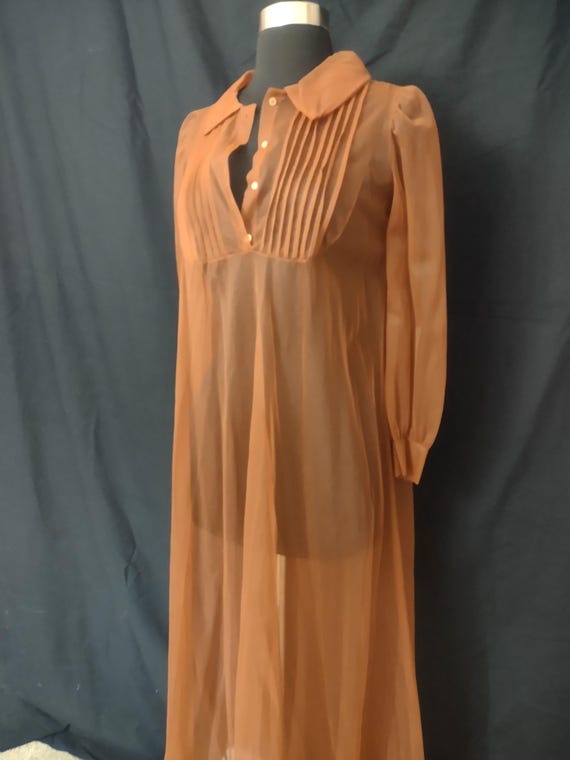 Cinandre sheer nightgown size small - image 2