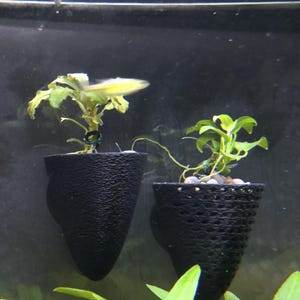 May include: Two black, textured, cone-shaped planters with aquatic plants. The plants have green leaves and are suspended in a fish tank. The background is dark, and other green plants are visible.