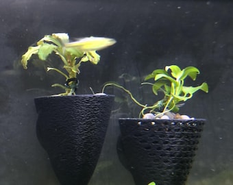 Aquarium Wall Planter - 2 Pack