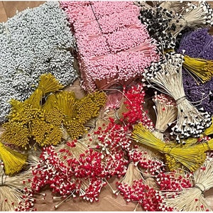 Vintage/Antique Stamens 144 Double Head Stems Millinery UNUSED 6 colors