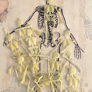 10 pcs  Vintage Halloween Plastic Skeletons - Movable Arms & Legs Original Stock