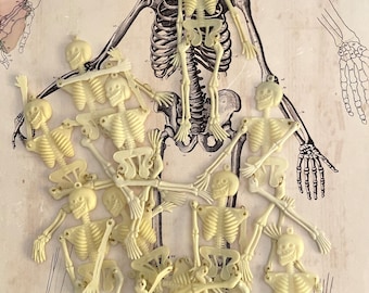 10 pcs  Vintage Halloween Plastic Skeletons - Movable Arms & Legs Original Stock