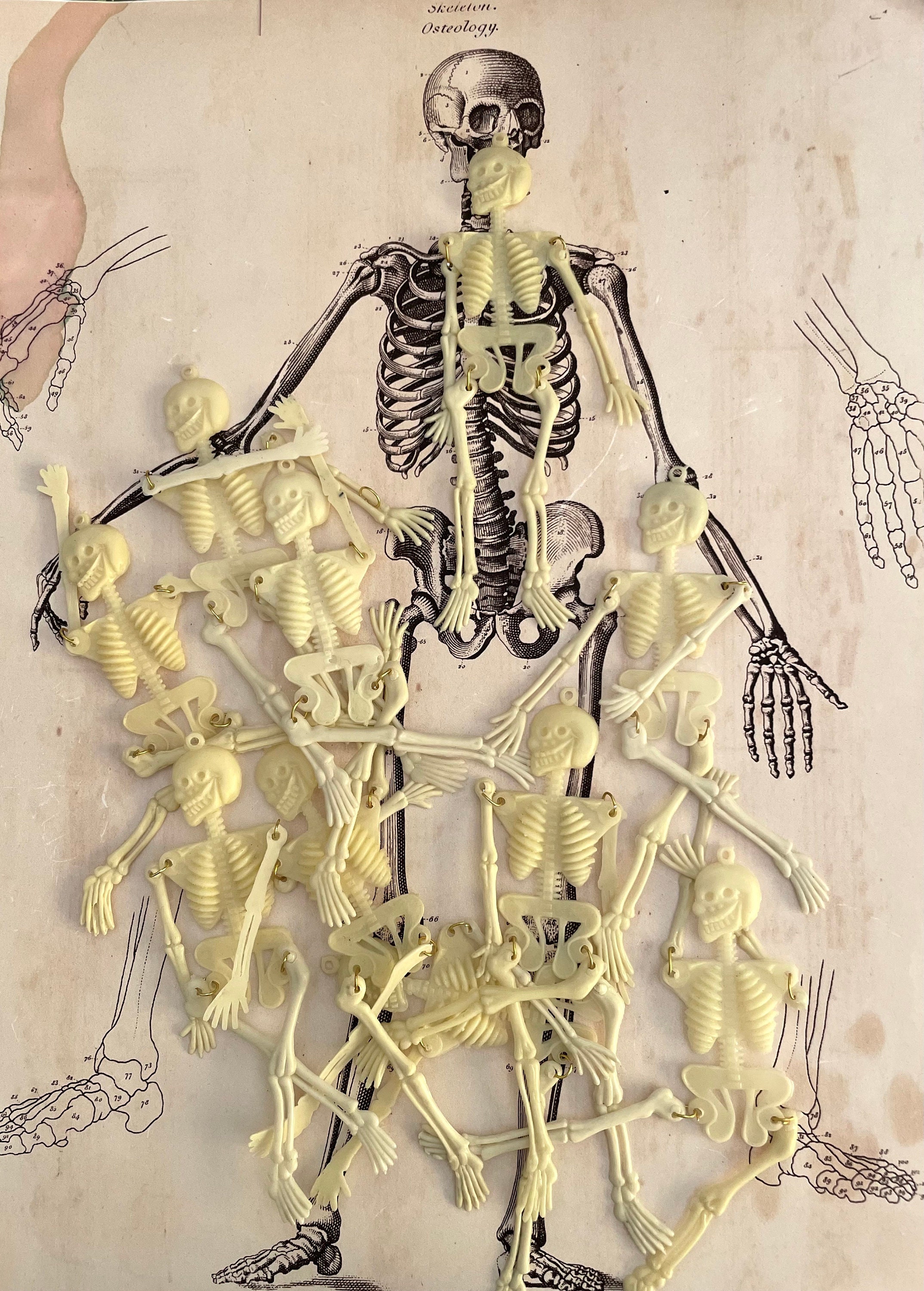 Plastic skeleton discount