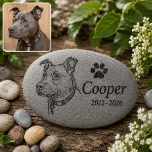 May include: A smooth, oval-shaped gray memorial stone featuring a laser-engraved portrait of a dog, a paw print, the name Cooper, and the years 2012-2026. The stone includes a small inset photograph of the same dog wearing a collar.