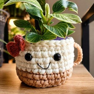 Peut inclure: Une petite plante Philodendron Birkin dans une housse de tasse crochetée crème et beige. La housse présente un visage souriant avec des yeux en plastique noir, une bouche brodée, un petit cœur rouge crocheté sur le côté et une anse beige.