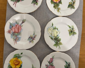 Roslyn China - World Famous Roses - Wheatcroft Collection-  Teaplates