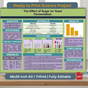 Ready to Print Science Fair Project & Template | STEM Trifold Display ...