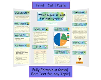 Science Fair Project Printable – STEM Trifold Display – US Letter – Editable Canva Template – Ready to Print, Cut & PasteTrifold