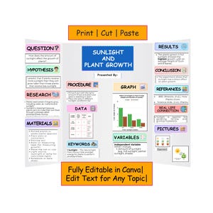 Sonnenlicht und Pflanzenwachstum Science Fair Project | Noten 2–5 | Bearbeitbarer & druckbarer US Letter | Vorbereitete PDF|Canva Vorlage | STAMM Trifold