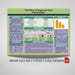 Ready to Print Science Fair Project & Template | STEM Trifold Display ...