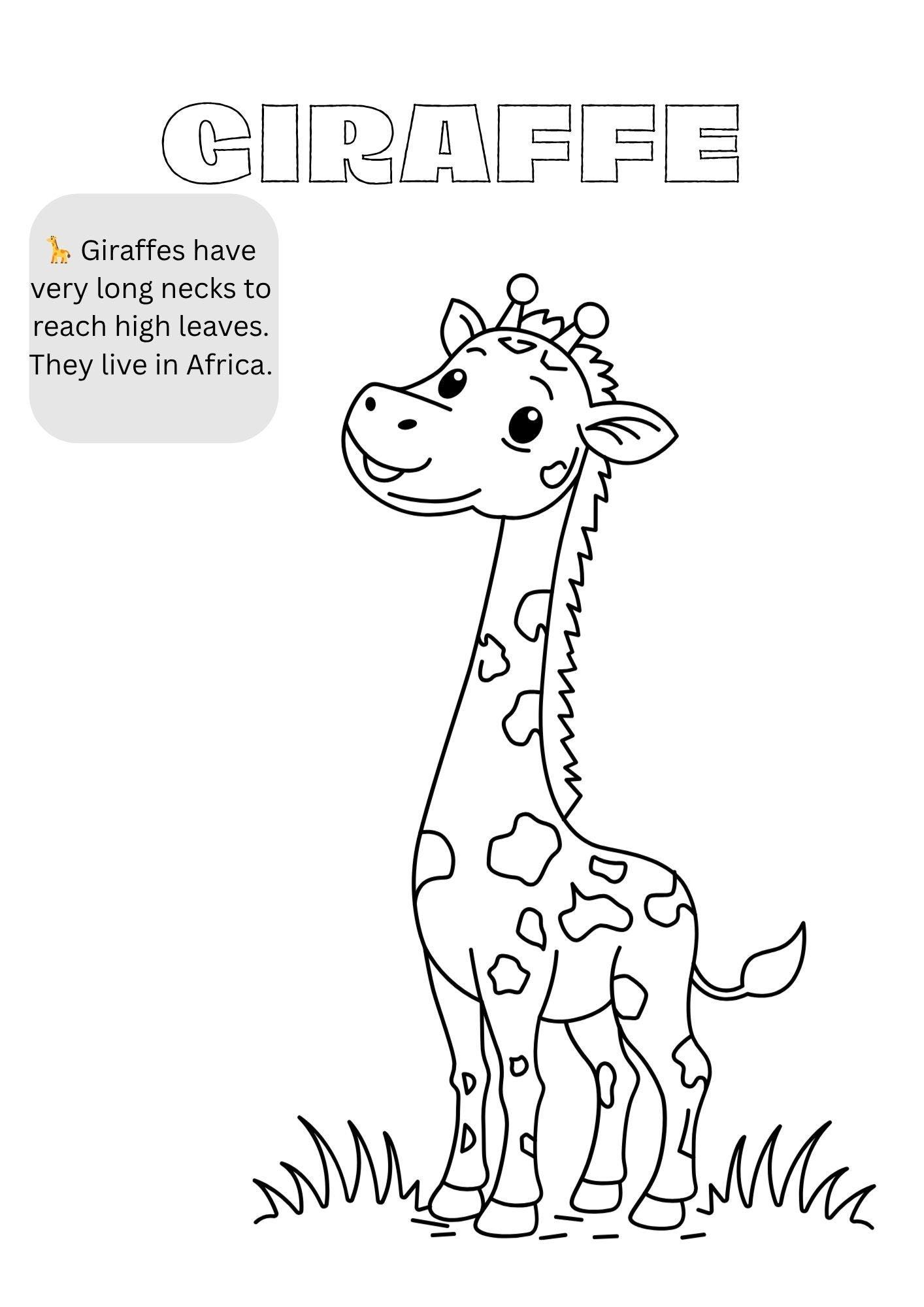 Zoo Animal Coloring Pages for Kids: Safari Animals (printable PDF) - Etsy