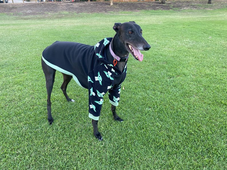 Sudadera con capucha Greyhound - talla pequeña - estampado de Baby Yoda imagen 8
